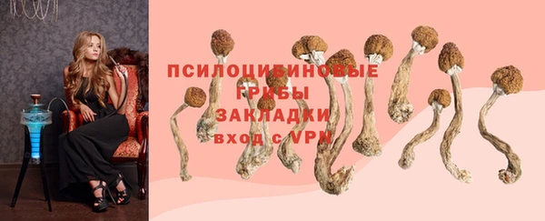 ECSTASY Алзамай