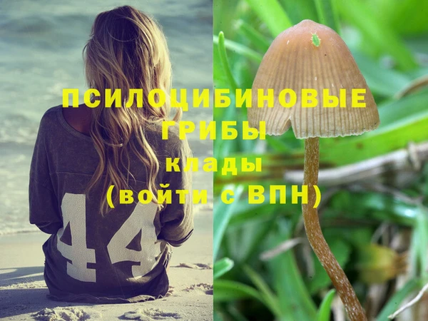 кокс Алексин