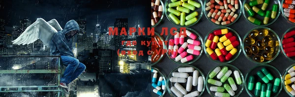 ECSTASY Алзамай