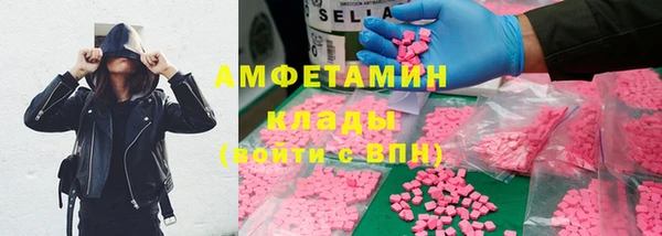 ECSTASY Алзамай