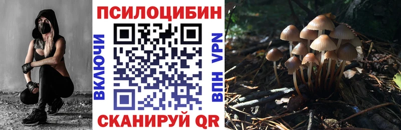 Псилоцибиновые грибы GOLDEN TEACHER  магазин продажи   MEGA маркетплейс  Жуковка 